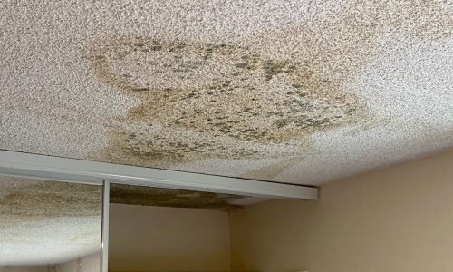 Roof & ceiling leak repair