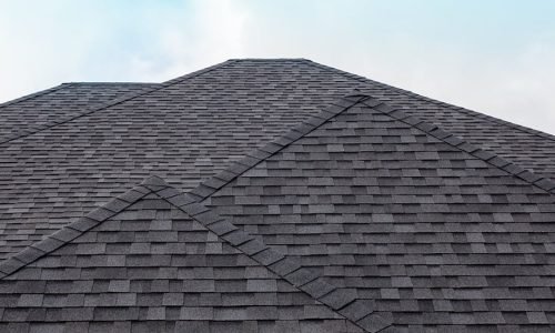 Shingles3