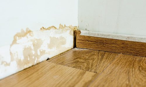 Wall & flooring water damage restoration